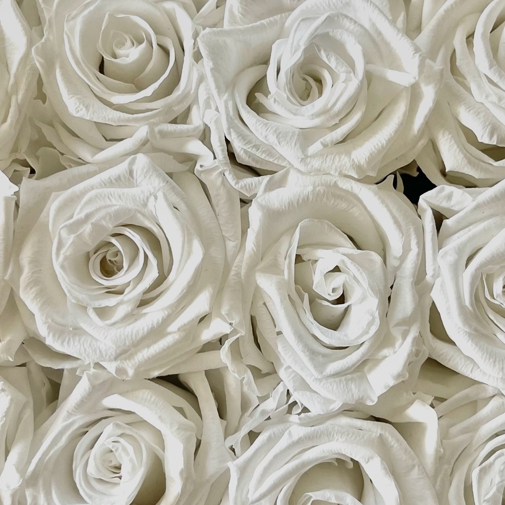 Meet your Posher, Franciely